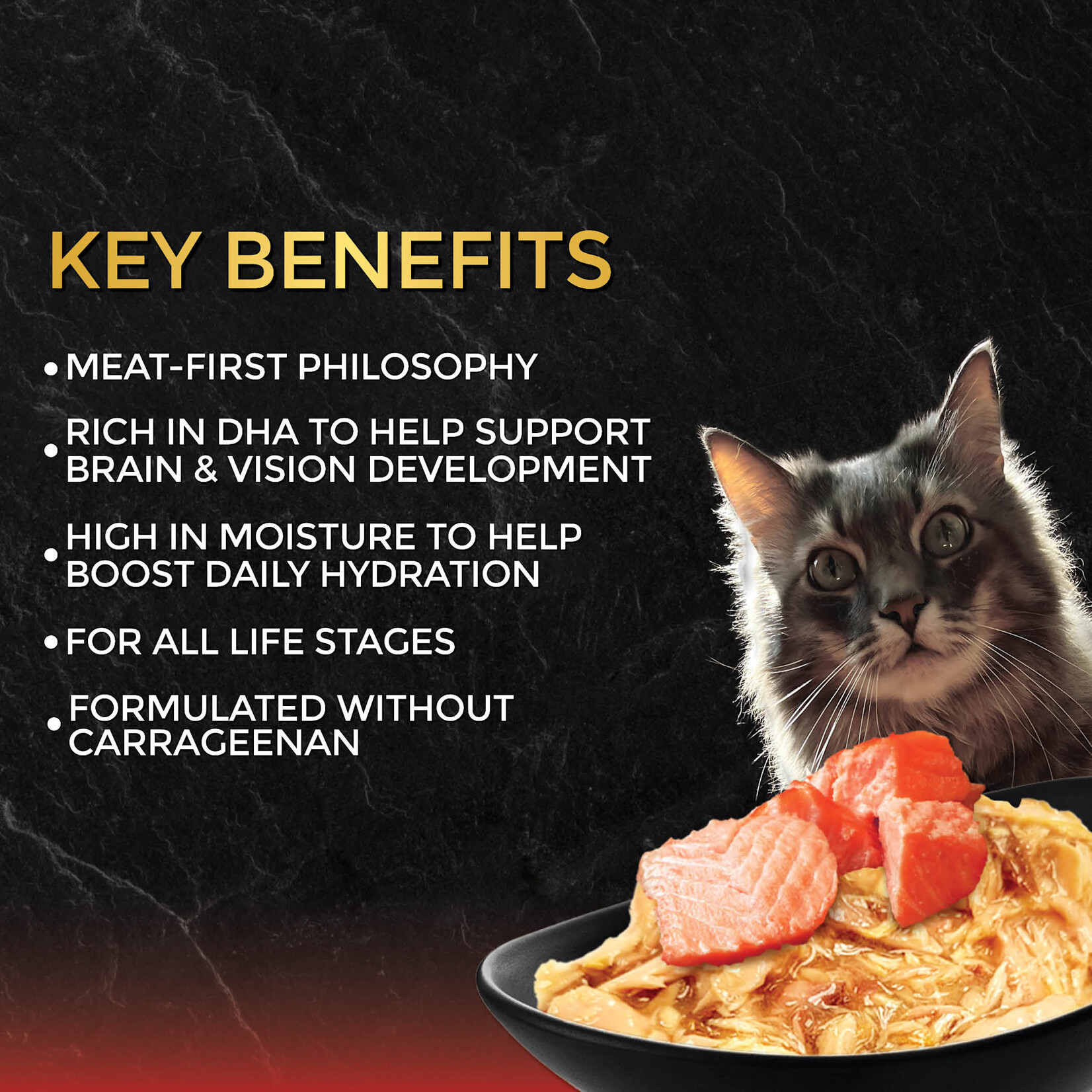 In Gravy - Tuna with Salmon Wet Cat Food