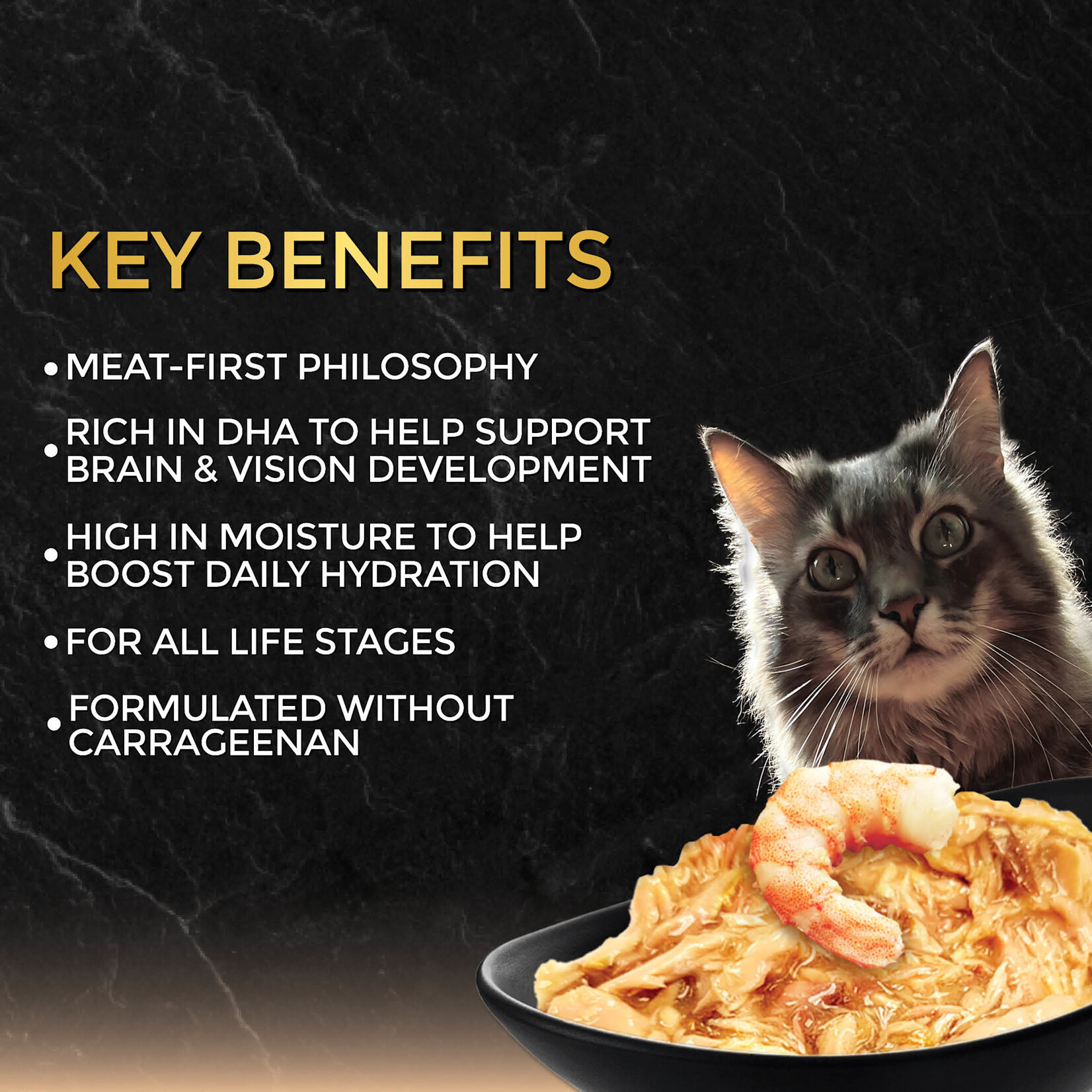 In Gravy - Tuna with Prawn Wet Cat Food