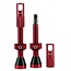 PEATYS 44MM TUBELESS VALVES