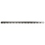 SRAM SRAM FORCE AXS 12 SPEED CHAIN