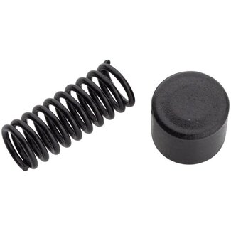 SRAM SRAM ETAP SHIFTER SPRING AND ACUTATOR