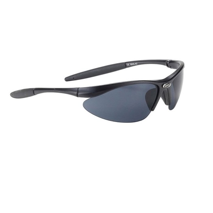 BBB BBB ELEMENT BLACK / SMOKE SUNGLASSES