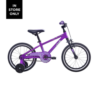 AVANTI AVANTI SPICE 16 METALLIC PURPLE
