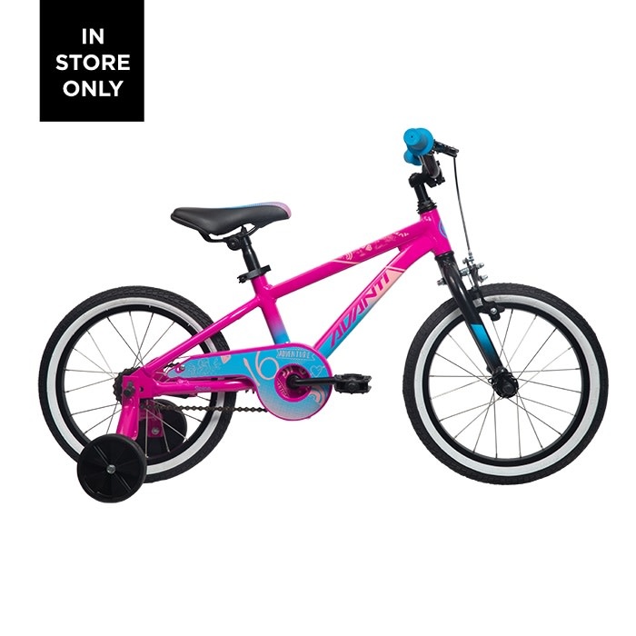 AVANTI AVANTI SPICE 16 PINK / BLUE