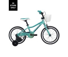 AVANTI AVANTI DIANA 16 MINT