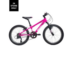 AVANTI AVANTI SPICE 20 PINK