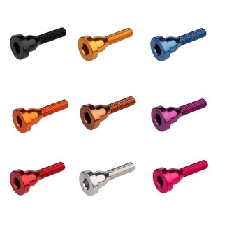 BURGTEC BURGTEC STEM TOP CAP BOLT