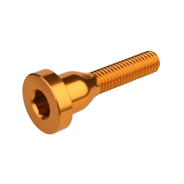 BURGTEC BURGTEC STEM TOP CAP BOLT
