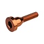 BURGTEC STEM TOP CAP BOLT