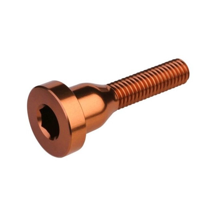 BURGTEC BURGTEC STEM TOP CAP BOLT