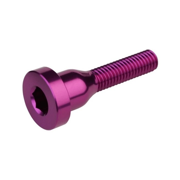 BURGTEC BURGTEC STEM TOP CAP BOLT