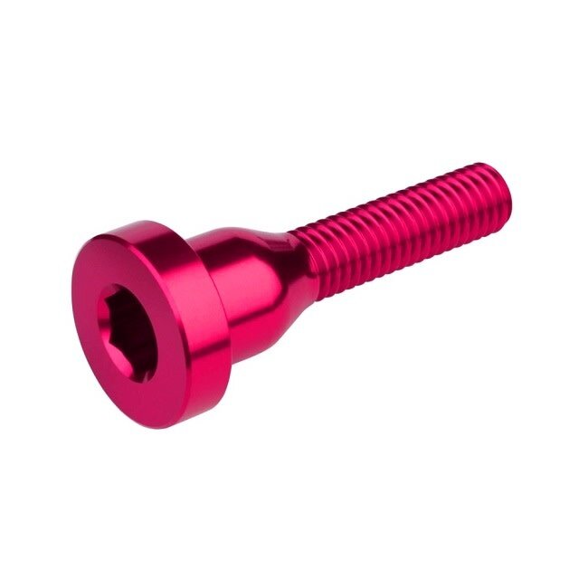BURGTEC STEM TOP CAP BOLT
