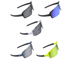 BBB BBB CHESTER SUNGLASSES BSG-69