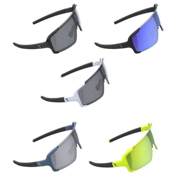 BBB BBB CHESTER SUNGLASSES BSG-69