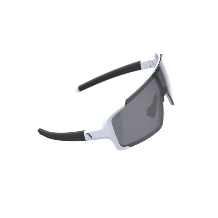 BBB BBB CHESTER SUNGLASSES BSG-69