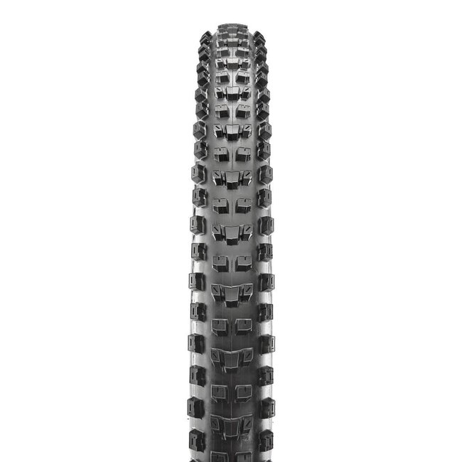MAXXIS DISSECTOR TYRE