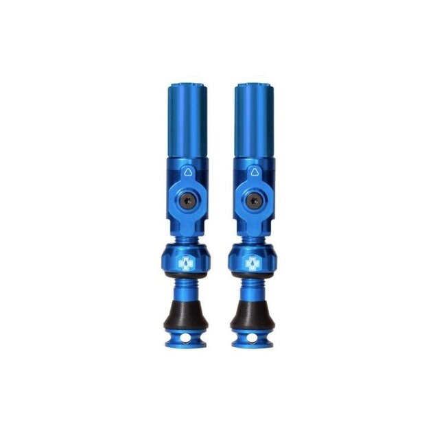 MUC-OFF BIG BORE HYBRID TUBELESS VALVES SMALL