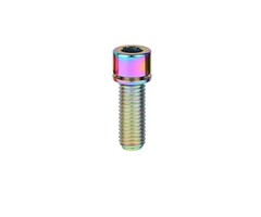 MISC TITANIUM STEM BOLT M6 X 25MM STANDARD HEAD RAINBOW (EACH)