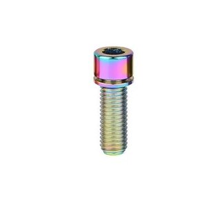 MISC TITANIUM STEM BOLT M6 X 25MM STANDARD HEAD RAINBOW (EACH)