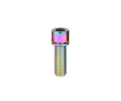 MISC TITANIUM STEM BOLT M6 X 20MM STANDARD HEAD RAINBOW (EACH)