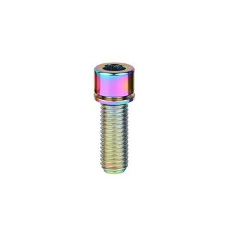 MISC TITANIUM STEM BOLT M6 X 20MM STANDARD HEAD RAINBOW (EACH)