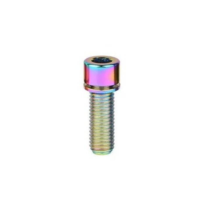 MISC TITANIUM STEM BOLT M6 X 20MM STANDARD HEAD RAINBOW (EACH)