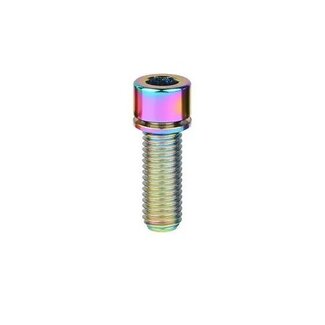 MISC TITANIUM STEM BOLT M5 X 10MM STANDARD HEAD RAINBOW (EACH)
