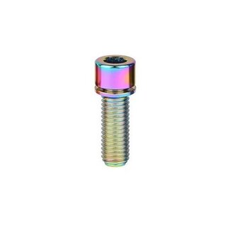 MISC TITANIUM STEM BOLT M5 X 12MM STANDARD HEAD RAINBOW(EACH)