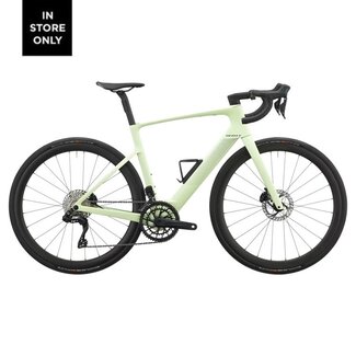 SCOTT SCOTT FASTLANE 20 CREAM GREEN