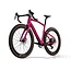 PINARELLO GREVIL F9 RED 1 X 13 LUNAR BLOOM