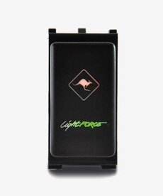 Switch to suit Nissan