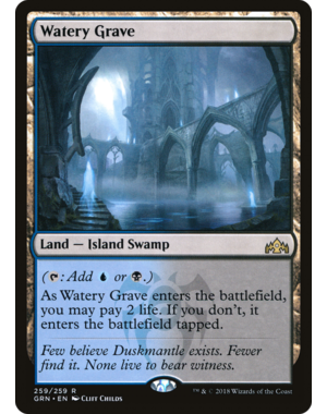 Magic: The Gathering Watery Grave (259) Lightly Played