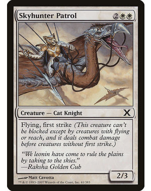 Magic: The Gathering Skyhunter Patrol (041) Lightly Played
