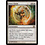 Magic: The Gathering Story Circle (049) Moderately Played