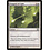 Magic: The Gathering Tempest of Light (051) Lightly Played