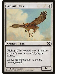 Magic: The Gathering Suntail Hawk (050) LP