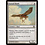 Magic: The Gathering Suntail Hawk (050) Lightly Played