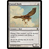 Magic: The Gathering Suntail Hawk (050) Lightly Played
