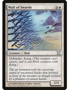 Magic: The Gathering Wall of Swords (057) LP