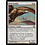 Magic: The Gathering Wild Griffin (059) Moderately Played