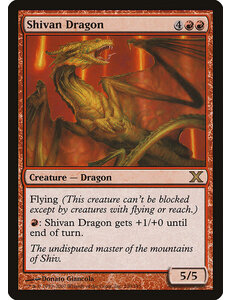 Magic: The Gathering Shivan Dragon (230) Moderately Played