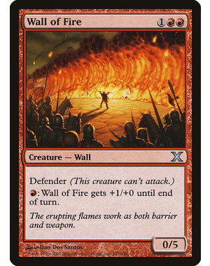 Magic: The Gathering Wall of Fire (247) LP