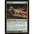 Magic: The Gathering Rootwalla (293) Lightly Played