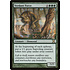 Magic: The Gathering Verdant Force (307) Damaged