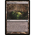 Magic: The Gathering Spawning Pool (358) Lightly Played