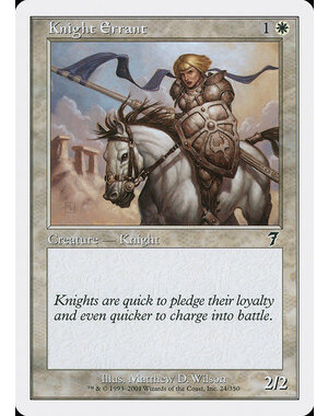 Magic: The Gathering Knight Errant (024) Heavily Played