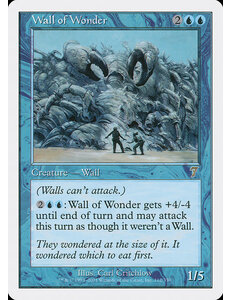 Magic: The Gathering Wall of Wonder (112) Heavily Played