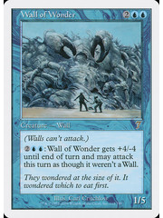 Magic: The Gathering Wall of Wonder (112) Moderately Played