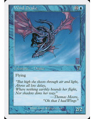 Magic: The Gathering Wind Drake (114) Lightly Played