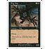 Magic: The Gathering Bog Imp (122) Lightly Played